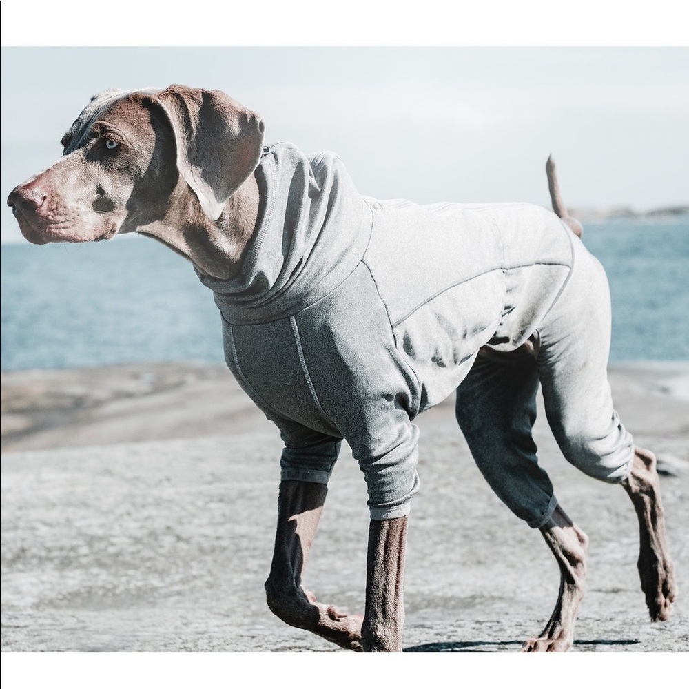HURTTA dog body warmer